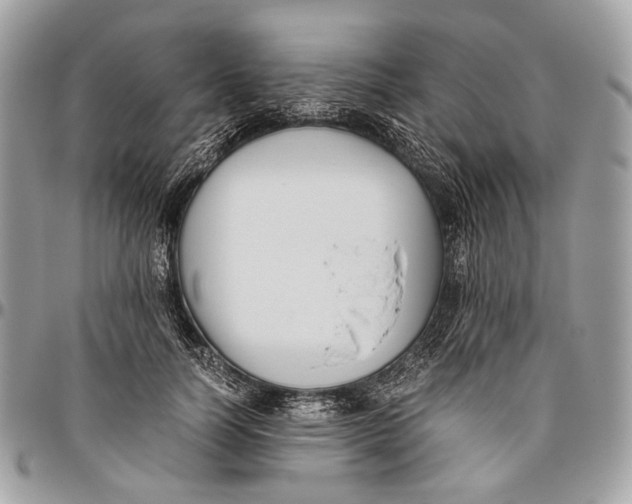 X0000096400746200802141518