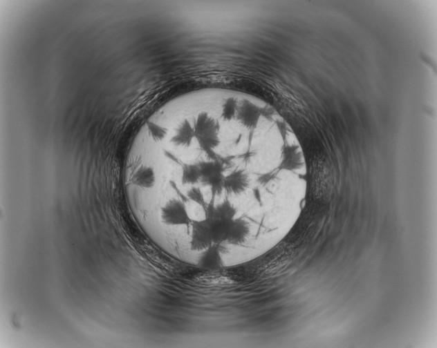 X0000096400747200802141518