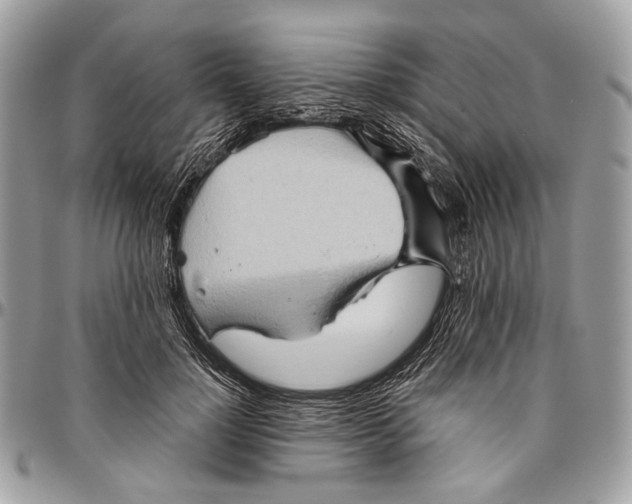 X0000096400748200802141518