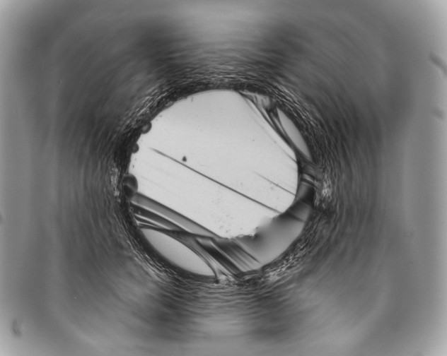 X0000096400750200802141518