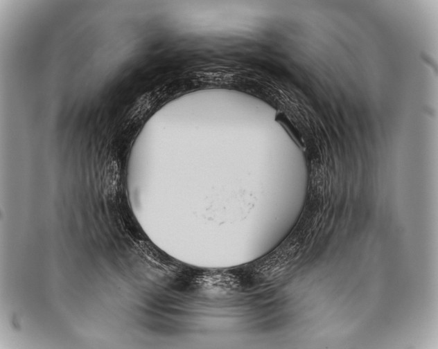 X0000096400752200802141518