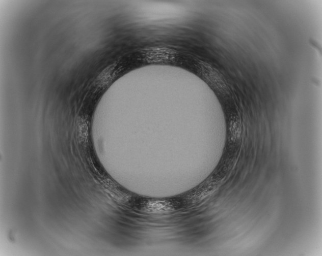 X0000096400753200802141518