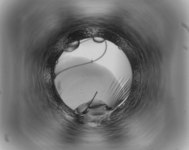 X0000096400754200802141518