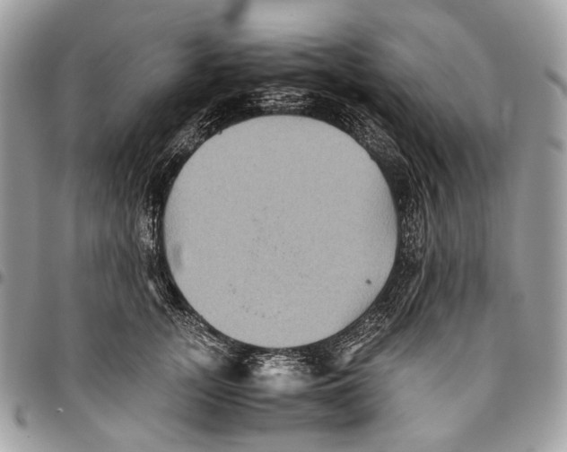 X0000096400755200802141518