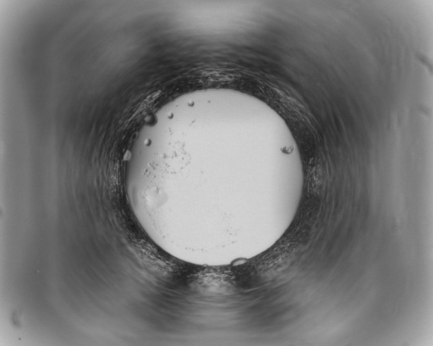 X0000096400756200802141518