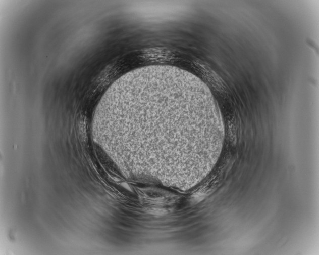 X0000096400757200802141518