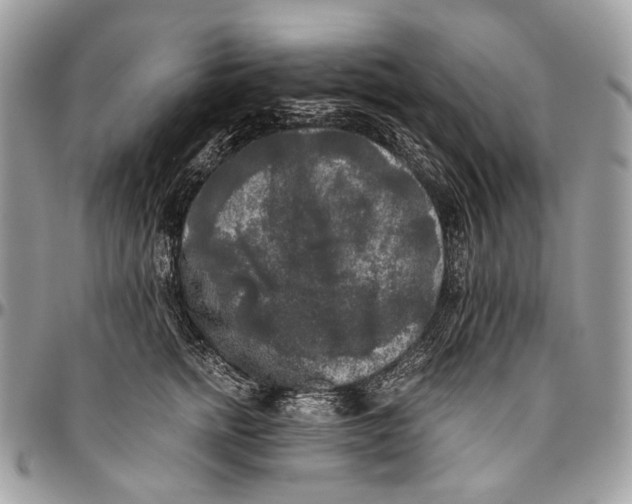 X0000096400758200802141518