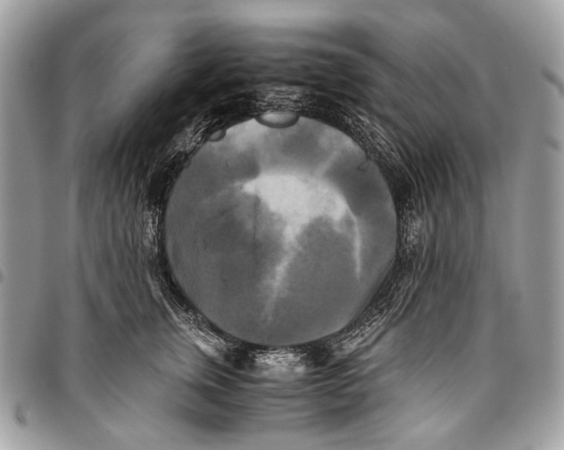 X0000096400759200802141518