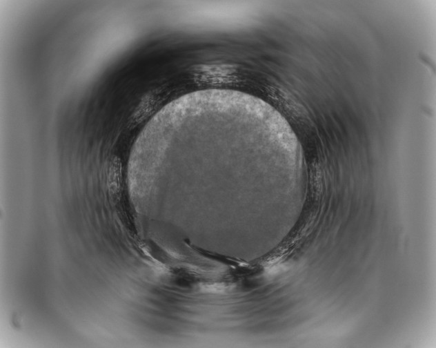 X0000096400760200802141518