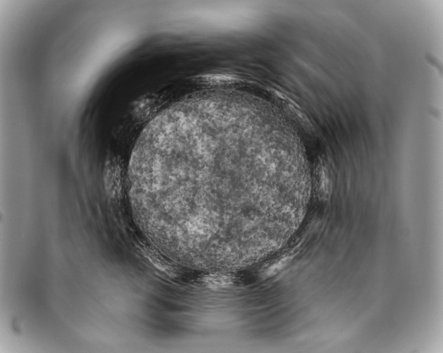 X0000096400762200802141518