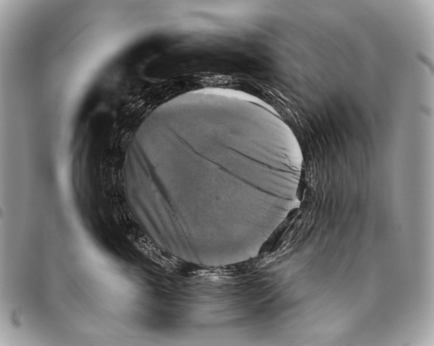 X0000096400763200802141518