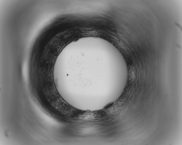 X0000096400764200802141518