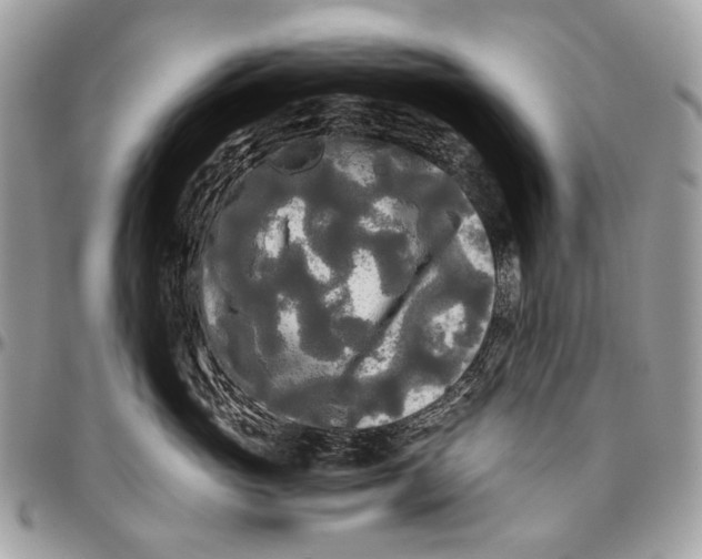 X0000096400765200802141518