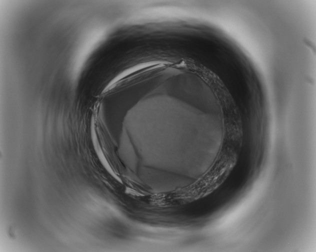 X0000096400766200802141518