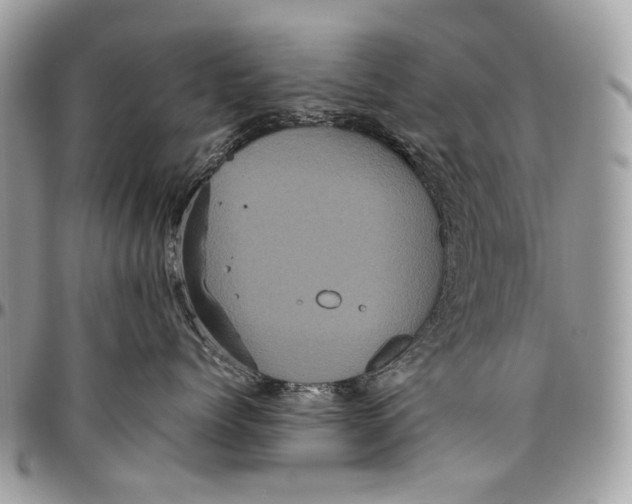 X0000096400768200802141518