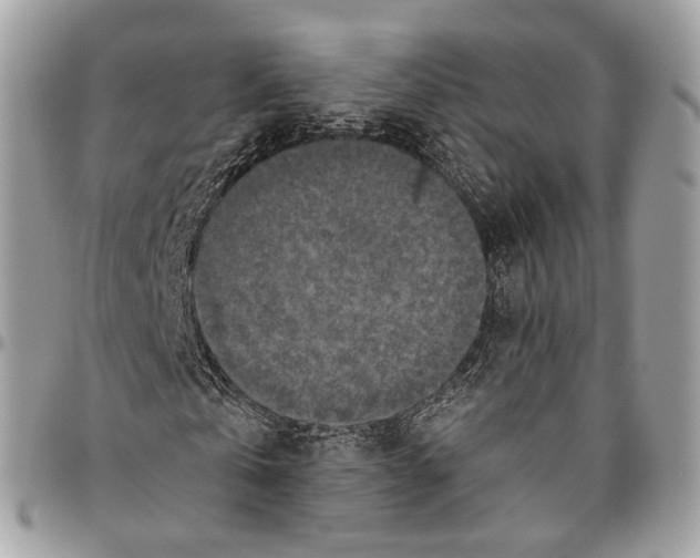 X0000096400769200802141518