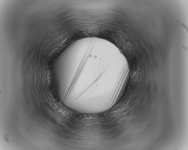 X0000096400772200802141518