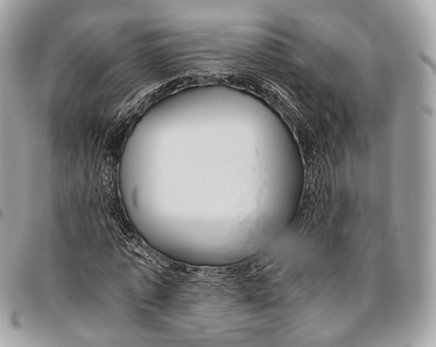 X0000096400773200802141518