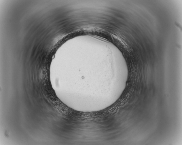 X0000096400776200802141517