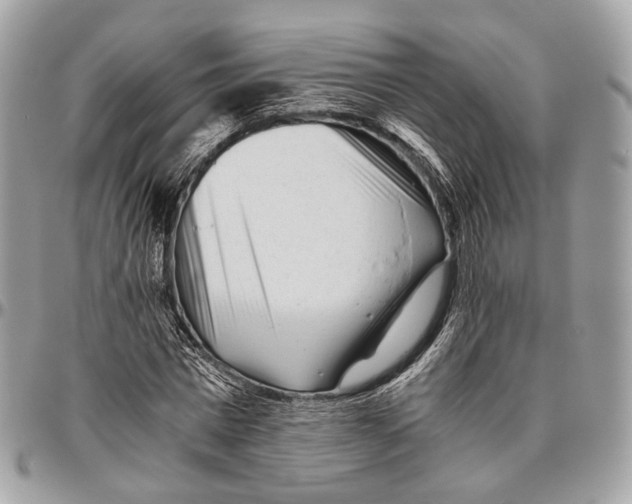 X0000096400777200802141517