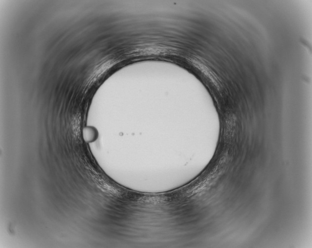 X0000096400778200802141517