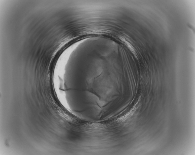 X0000096400779200802141517