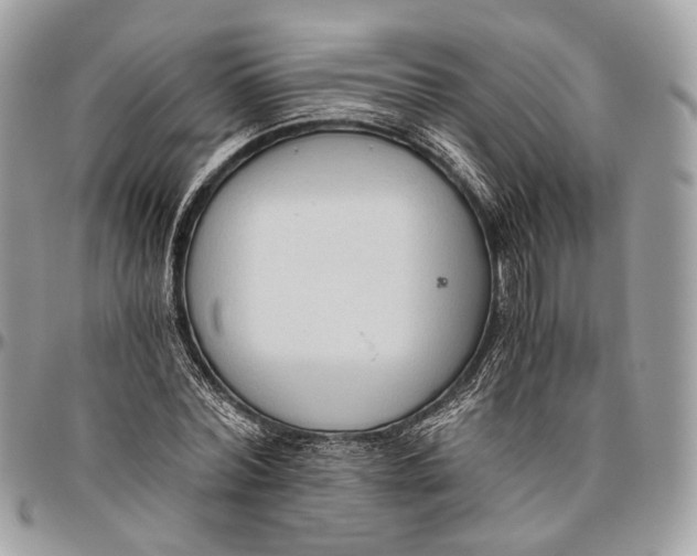 X0000096400780200802141517