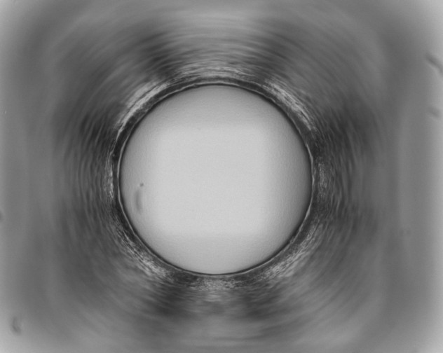 X0000096400782200802141517