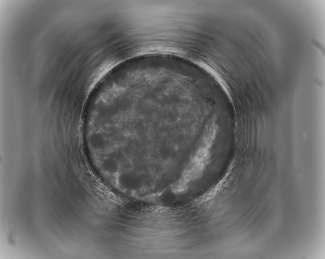 X0000096400783200802141517