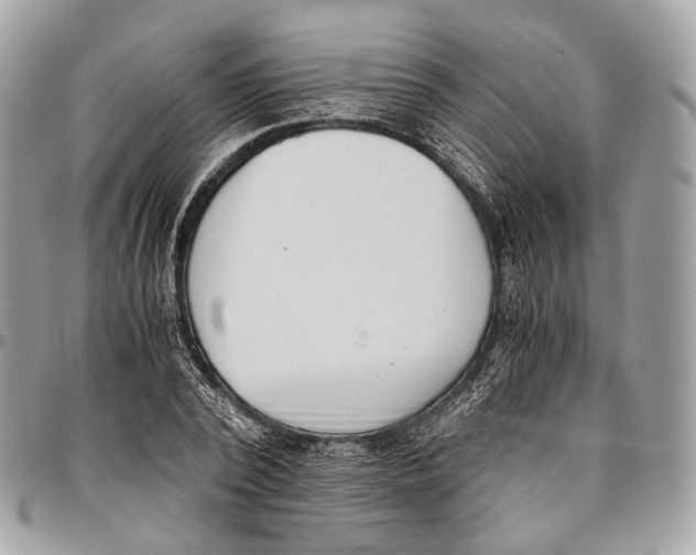 X0000096400784200802141517