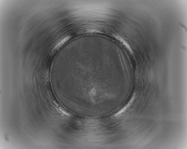 X0000096400785200802141517