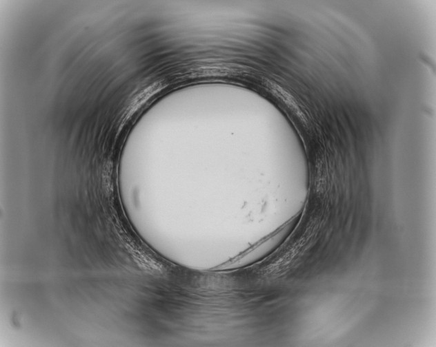 X0000096400786200802141517