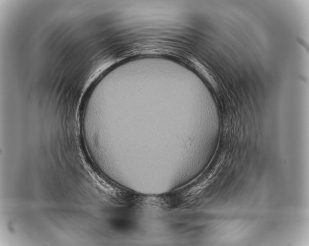 X0000096400787200802141517