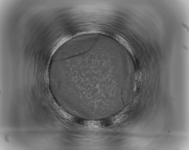 X0000096400789200802141517