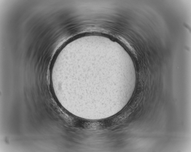 X0000096400791200802141517