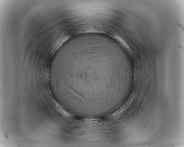 X0000096400793200802141517