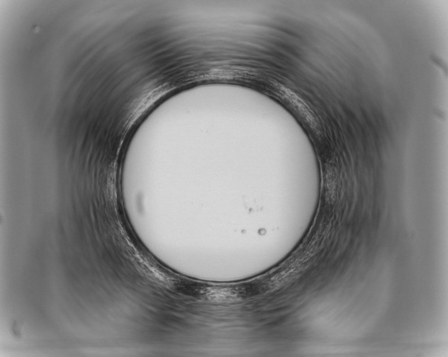 X0000096400794200802141517