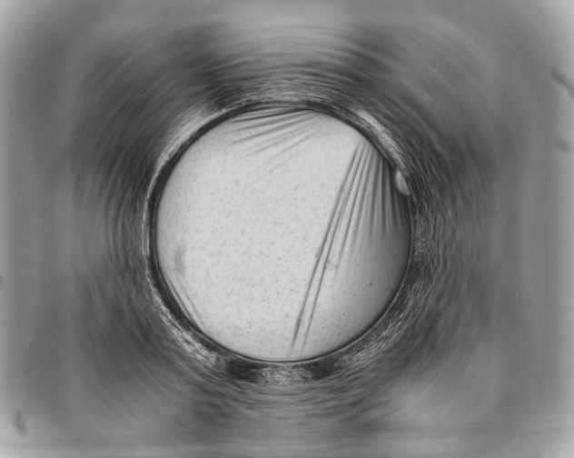 X0000096400795200802141517