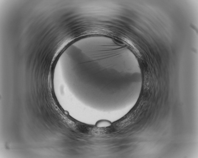 X0000096400796200802141517