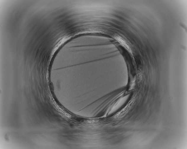 X0000096400797200802141517