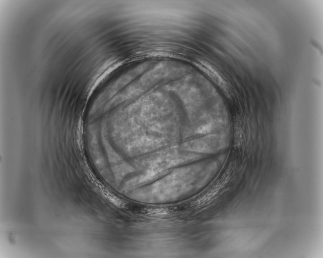 X0000096400798200802141517