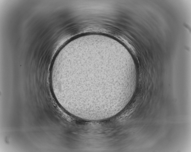 X0000096400799200802141517