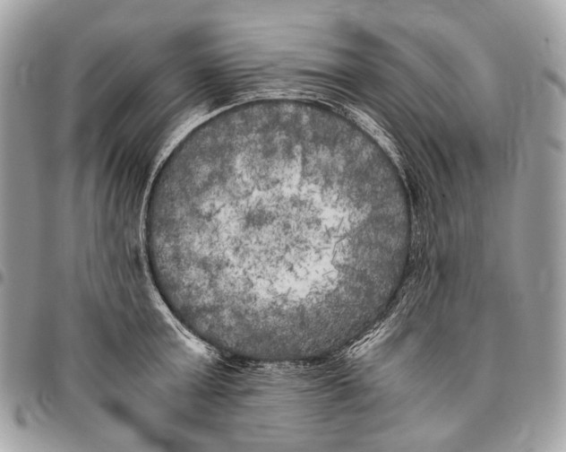 X0000096400803200802141517