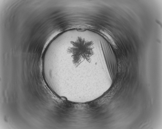 X0000096400804200802141517