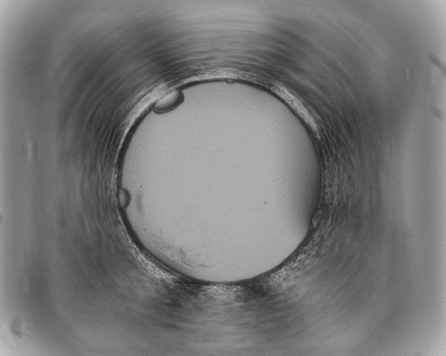 X0000096400805200802141517