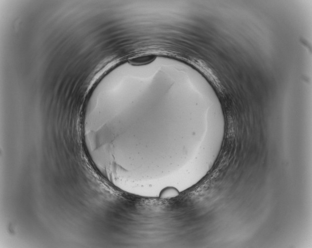 X0000096400806200802141517