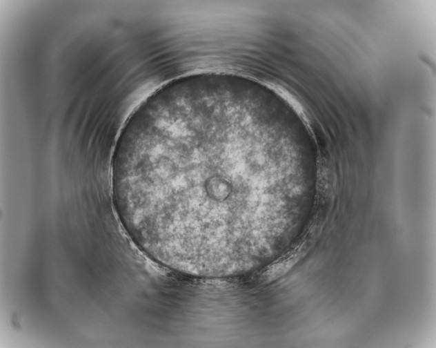 X0000096400807200802141517