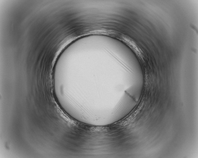 X0000096400808200802141517