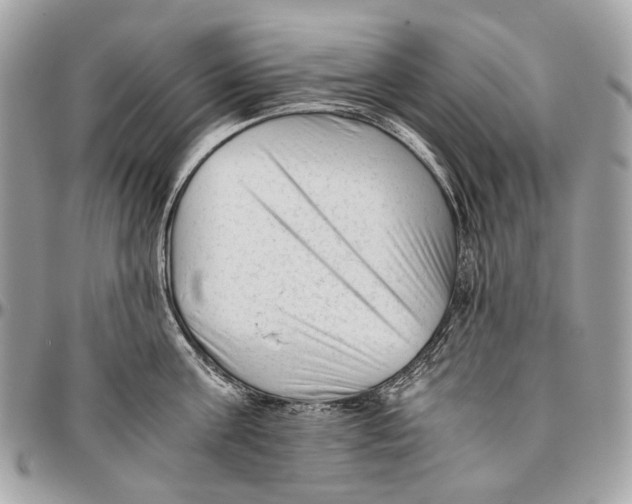 X0000096400811200802141517