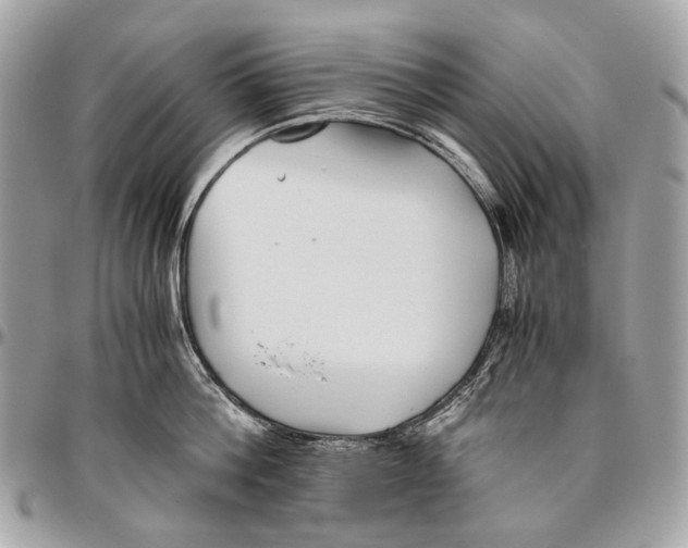 X0000096400812200802141517